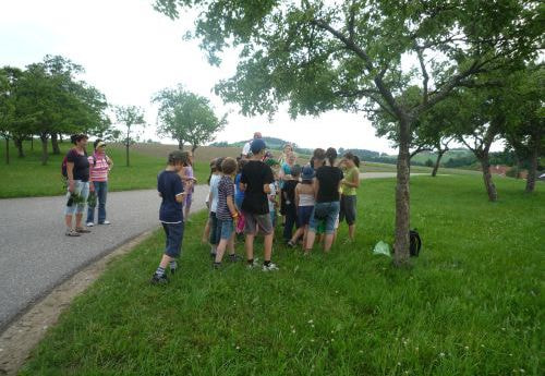 Wanderung der Minis