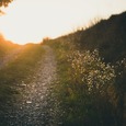 Gemeinsam mit Katharina den Weg gehen. / © Unsplash/pixabay.de/CC0 1.0 Gemeinsam mit Katharina den Weg gehen.