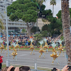 Blumenkarneval