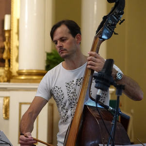 Violone