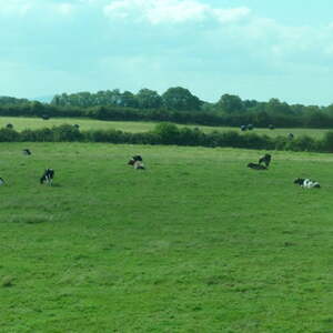 Irlandreise