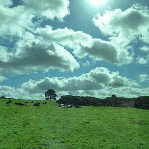 Irlandreise