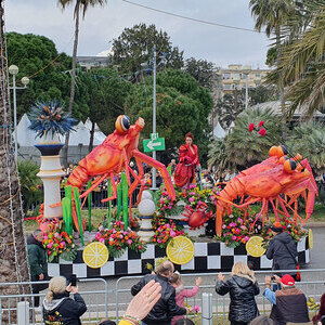 Blumenkarneval