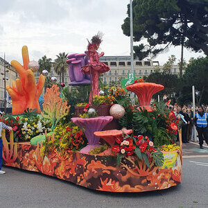 Blumenkarneval