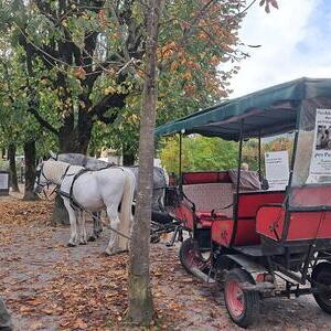 KFB-Herbstwallfahrt nach Lauffen und Bad Ischl