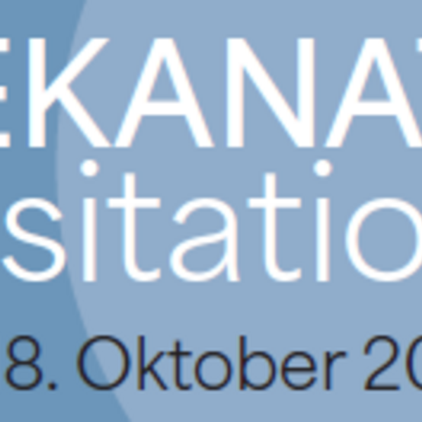 Dekanatsvisitation