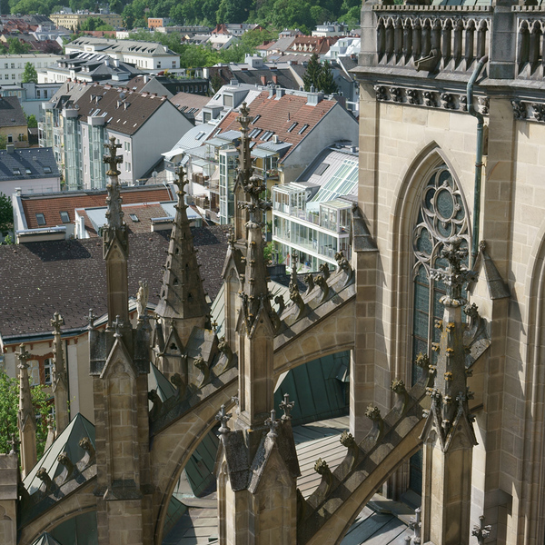 Hoch oben im Dom / © Mariendom Linz Hoch oben im Dom