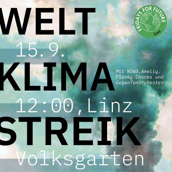Klimastreik Linz / © Fridays for Future
