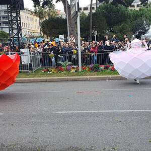 Blumenkarneval