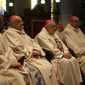 25 Jahre Bischofsweihe, Linzer Mariendom (2007)