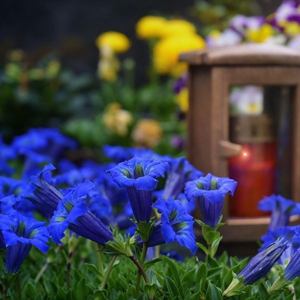 Blumen am Grab / jplenio/pixabay.com Blumen am Grab